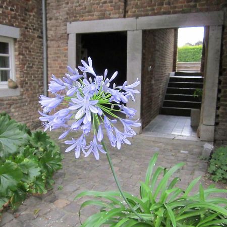 Lisa'S Weelde Bed & Breakfast Tongeren Exterior photo